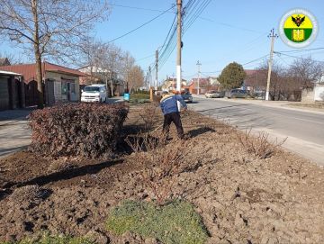 ������������� ���������� ������ ���������� ���������� ������ �� ��������������� ������������ �����������