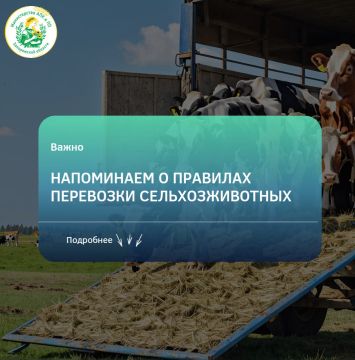 ���������� �������������������� ��������: ���������� ����������� ����������� ������� ���������� � ������������� ������ ��������� ������� ���������