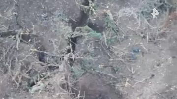 ������� ��� "��������" ���������� ���� ����������� ������� ������� ��� � ����������� �������