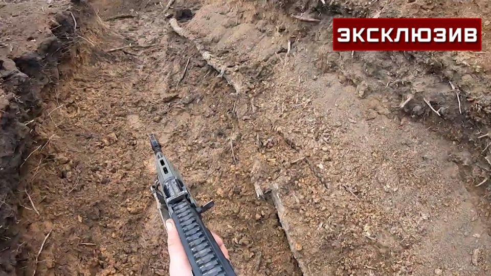 �������� ������� ����� � ���� ������� ��� �� ����������� �����������