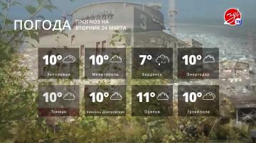 ������� ������ �� ������� 24 �����