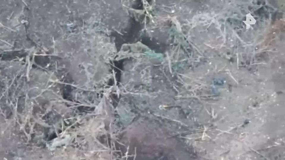 ������� ��� "��������" ���������� ���� ����������� ������� ������� ��� � ����������� �������