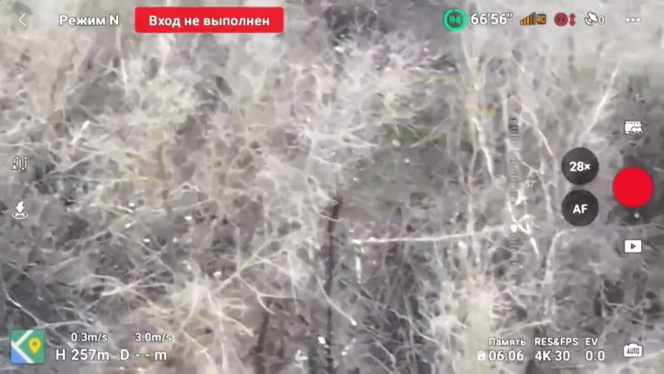 ��������� ���������� ������ �����������