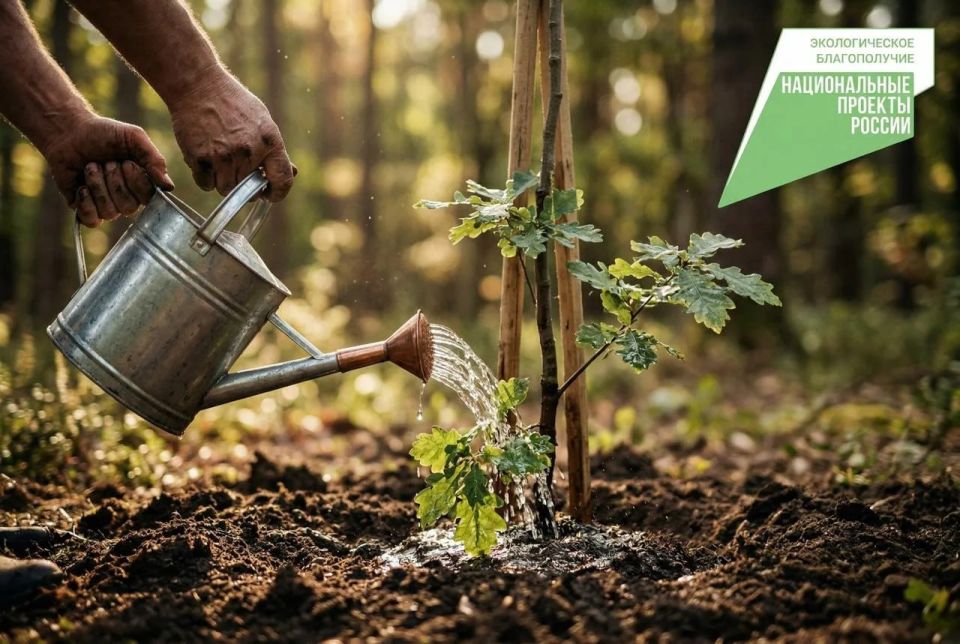 � 2026 ���� ������������ ���� �������� ���, ������������� � ������������ ������������� ������, ����� � ������ ����� ���������� ��������� ���������� ������������ ��������