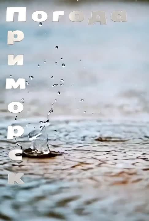 ������ �������� (���������� �����), 25.03.2026
