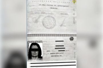 Женщину из Каменки-Днепровской будут судить за оставленные в 2022 году комментарии