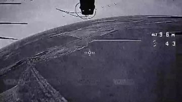 ������ ���������� ���� 29 ����� ����������� ����� "������" �� ����������� ������������� ���������� �� ����������� �����������