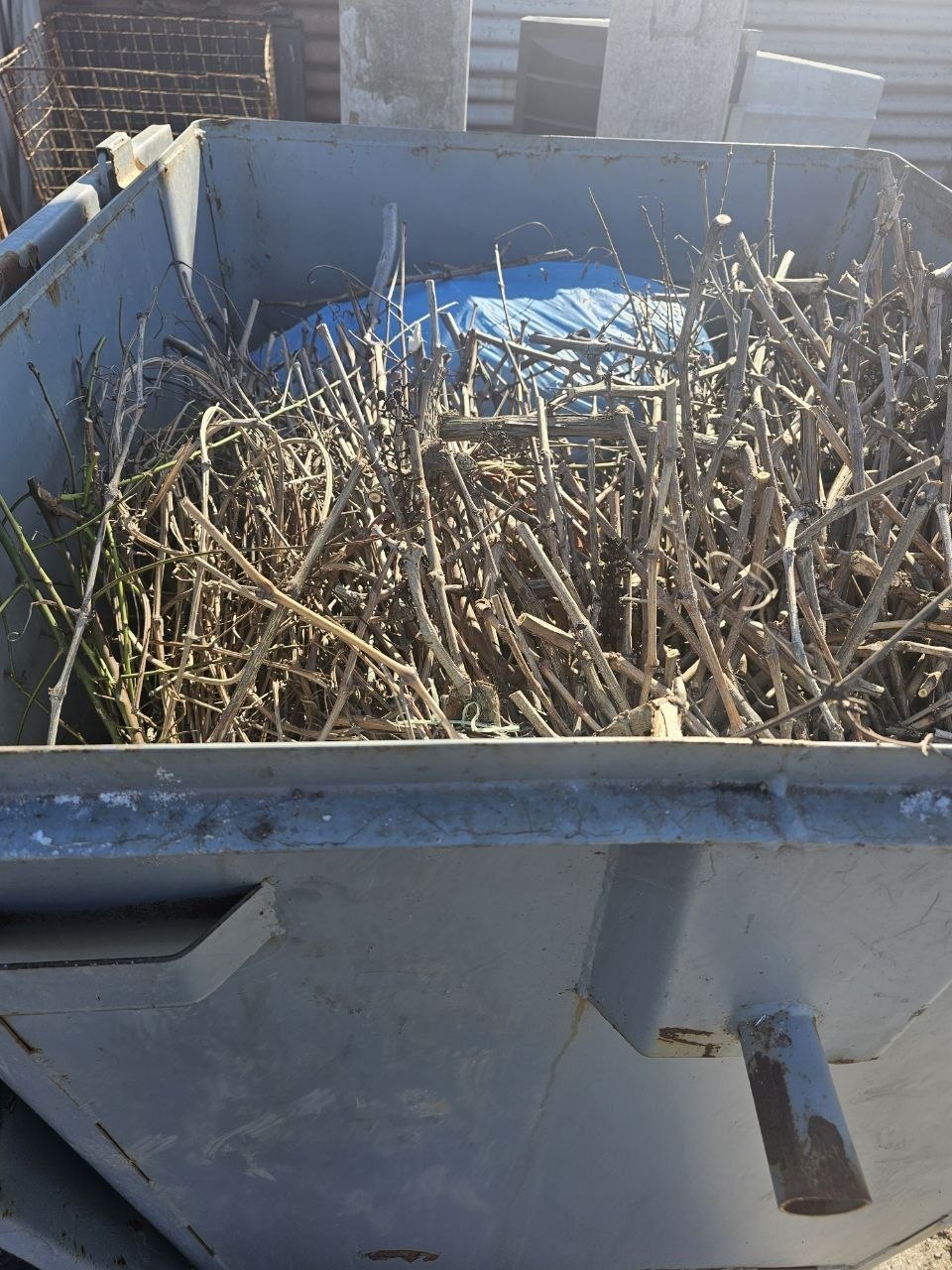 ВЕТКАМ НЕ МЕСТО В КОНТЕЙНЕРЕ