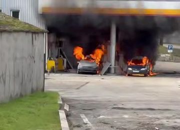 WarGonzo: � ���������� ����� ����� ��� �� ��� ������� �������