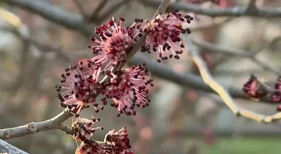 26�����, �������. ����� ����� �������� ���� ���� ���������, �������� � ������ ���������