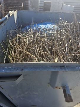 ������ �� ����� � ����������