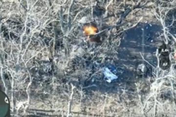 ����������� ����� ������. ���������� ������� �������� ������ � ����������