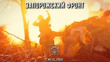 ���� ������� ���� � ������������ �����������