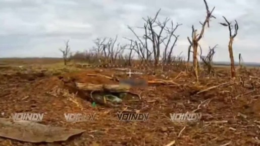 ������ ������ ���������� ���� 35 ����� ����������� ����� "������" �� ����������� ����� ���� ��� �� ����������� �����������, ����������� �.�. �������������