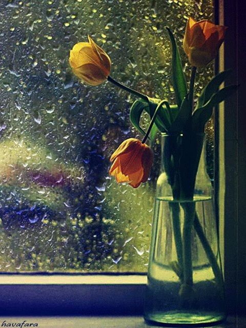 ������ ����. � �� �����, ��� �������