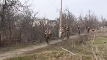 Штурмовики 38-й гвардейской бригады группировки «Восток» в Запорожской области взяли опорный пункт ВСУ и захватили пленных