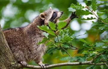 ������ ����, ������! �������� ��� ��� � ��������� ����������!