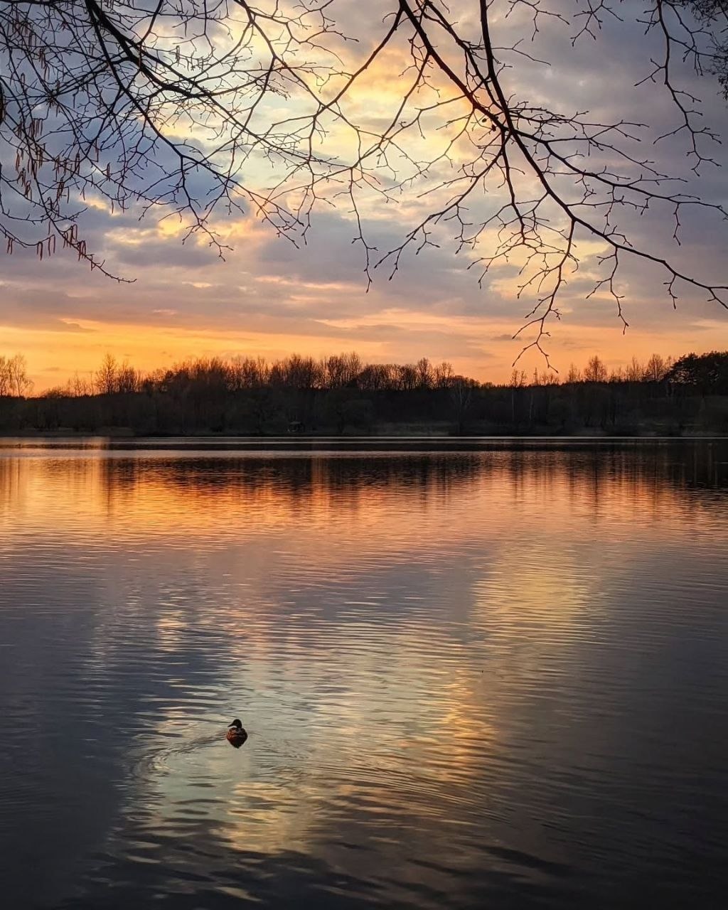 Спокойной всем ночи!