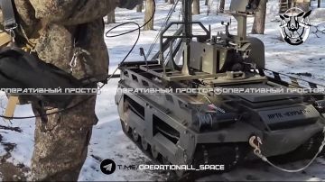 ���������������� ���� ������� � �������� �������� ���������� ����