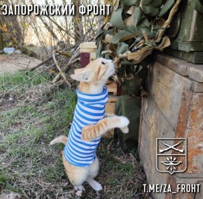 Всем бодрого утра с Запорожского направления