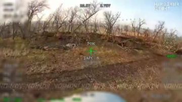 ��������� ����� ���� ���������� � ������ �.�. ������������� ����������� ���� 38 ������� 35 ����� ����������� ����� "������"