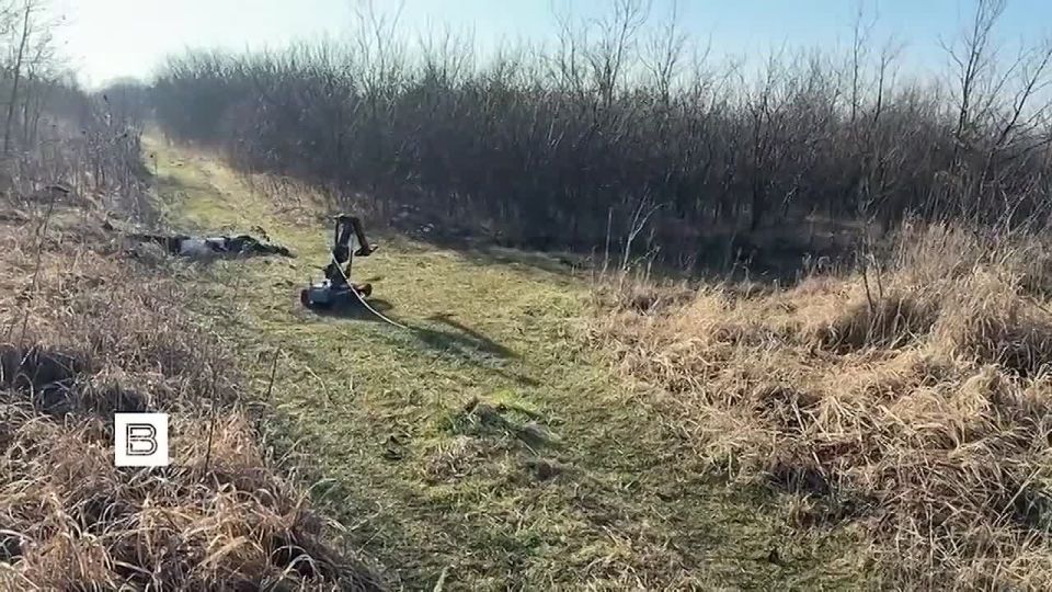 �������� �����: ���������� ������� �������� ������ ������ � ������