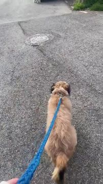 ��������. � ���� � �������, ����� �� ����� �� ������