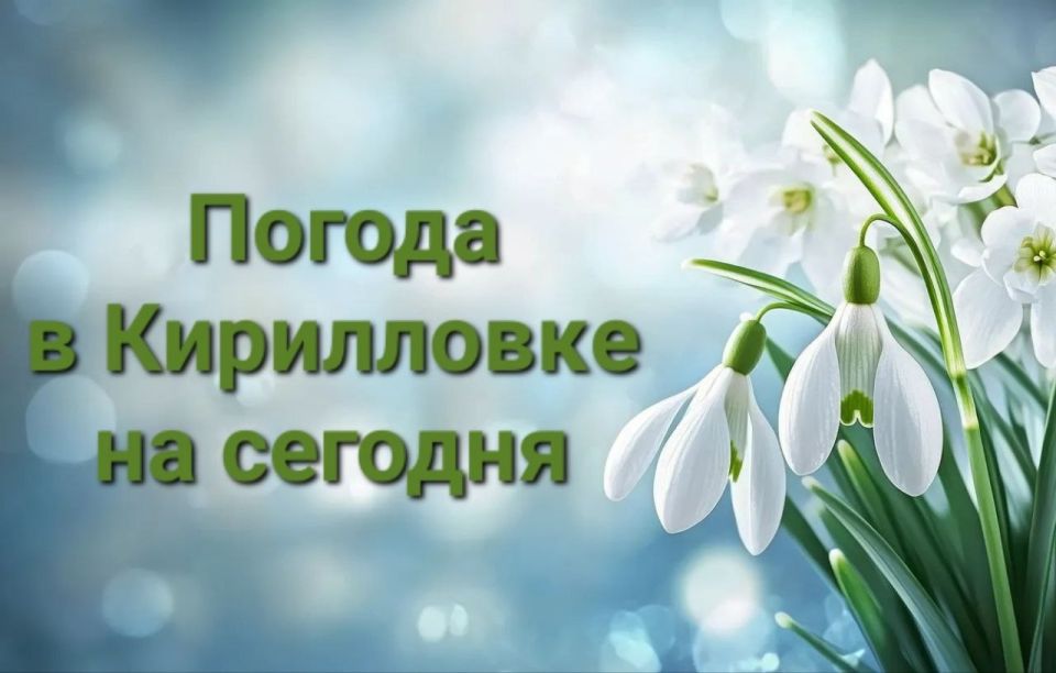������� ������ �� �������. � ������������ �������� ��������� �������, 28 �����, ���������: ���� -- +10�