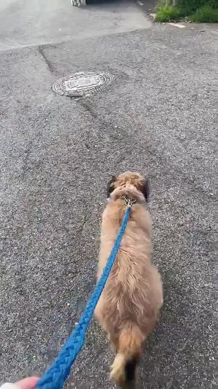 ��������. � ���� � �������, ����� �� ����� �� ������