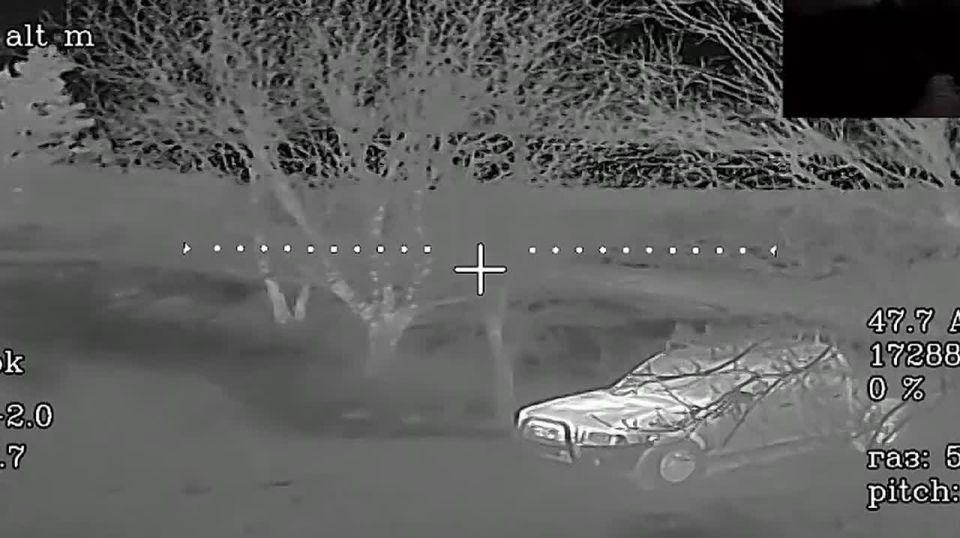 ����������� �����������. ����� ������ ������