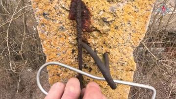 ���������� ������: �������� ����������� ������� ��������� ����� ����� ����� �� ����������� �����������