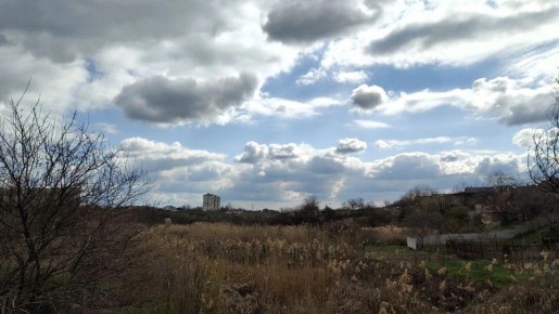 В Запорожской области в ночь на 30 марта ожидают дождь