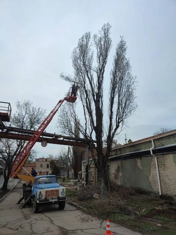 � ��������� ������������ ������ �� ���������������