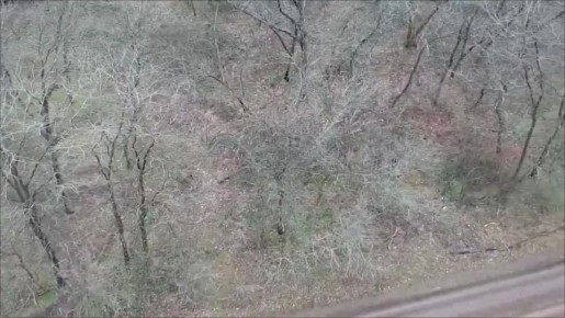 ������� ����� � ����: ���������� �� ����������� ����������� ���������� ������� ��� � ����� �������