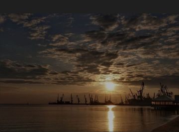 Дмитрий Рогозин: Пляжные рестораны, где умеют вкусно готовить