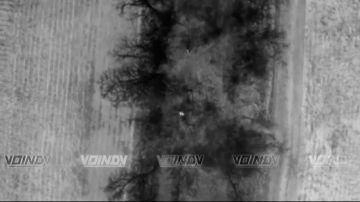 ���� ��������: ���������� � ���� ��������������� ����������� ����� "������" �� ��������� �����, ����������� @voin_dv