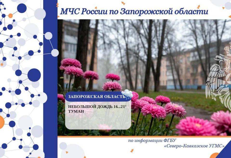 29 ����� �� ���������� ������� ���������:
