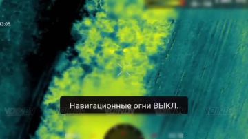 ������ ���������� ���� 29 ����� ����������� ����� "������" �� ����������� ����� ���� ���������� �� ����������� �����������