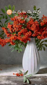 ������� ����, ������� ������������!!!