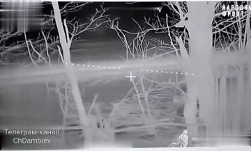 ������ ������ ���������� ����������� ����� "������" �� �� �� �������