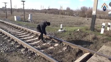 ������ ������� ������� 20 ��� ������� ������� �� ���������������� ������������ �� ���������� ����������� �������