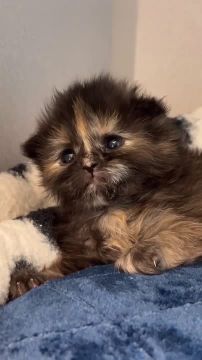 ����� ������� ������. ����� �������� ���������, � �� ��� � �� ��������