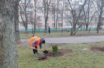 Администрация городского округа Мелитополь продолжает работу по приведению в порядок общественных городских пространств