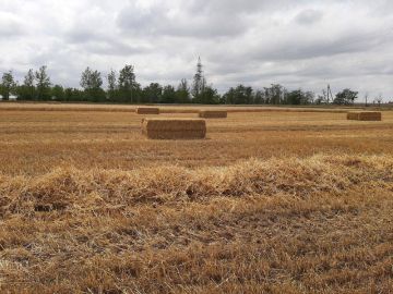 Россельхознадзор напоминает о Правилах противопожарного режима