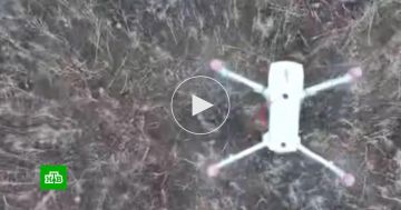 Российские FPV-истребители в воздухе уничтожили дроны-разведчики и коптеры ВСУ