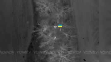 В Запорожской области уничтожена диверсионно-разведывательная группа, которая под покровом ночи пыталась просочиться в направлении н.п. Гуляйполе, чтобы обозначить присутствие на этом участке