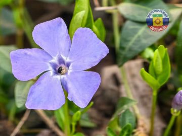 ������� � �������� ����!. ����� ��� ����� ��������� � �����, ��������� �� �������� � ���������������