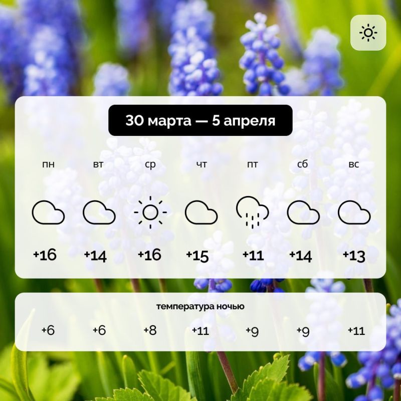 ������ � ����������� ������� �� 30 ����� � 5 ������