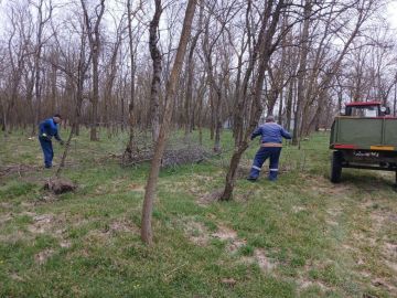 ������ ����. ���������� ��� ���������� ������� ������ �� ��������� ������� � ����������� ��������������� ������