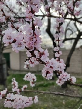 � ������ ������ ��������� �����